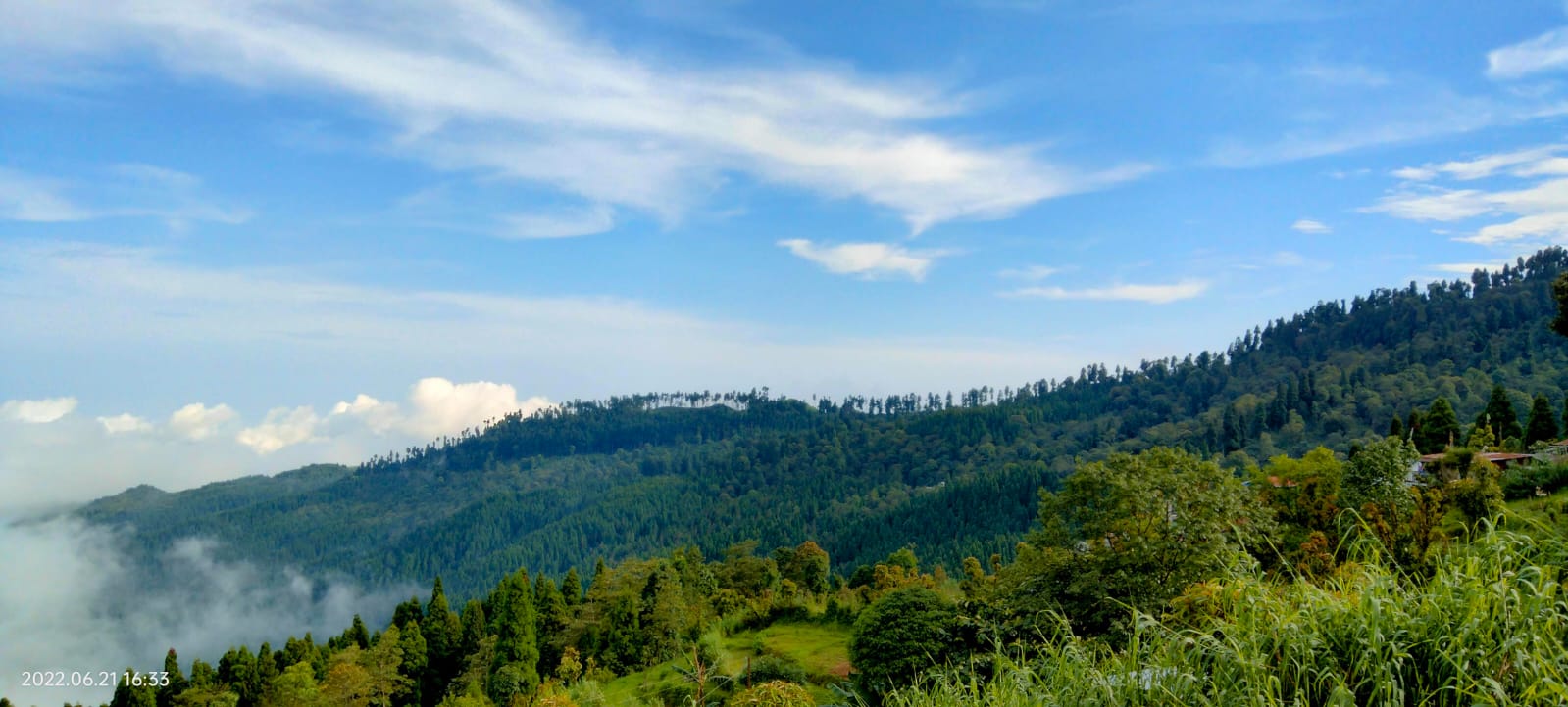 Deluxe Cottage Interior