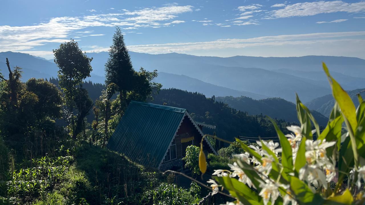 Premium Cottage Lawn